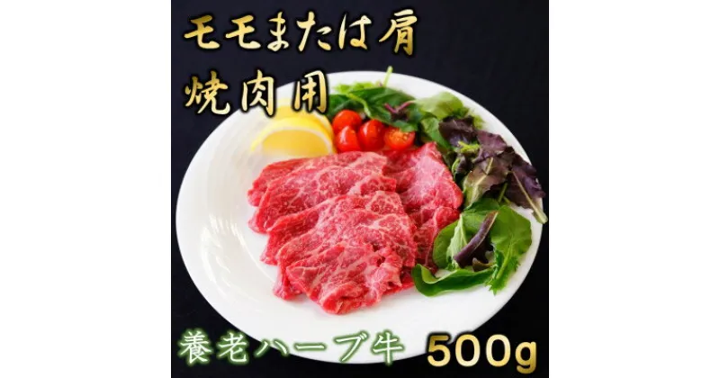 【ふるさと納税】養老ハーブ牛　モモまたは肩　焼肉用　500g【配送不可地域：離島】【1273630】