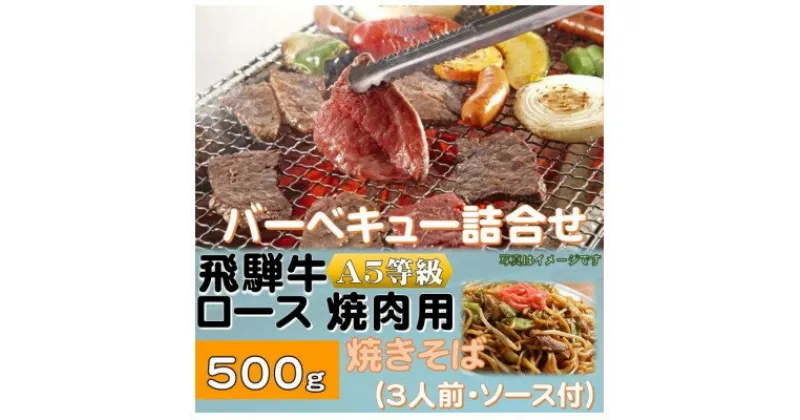 【ふるさと納税】飛騨牛ロース5等級500g・焼きそば3人前(ソース付)　バーベキューセット【配送不可地域：離島】【1416387】