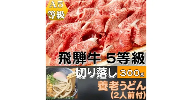 【ふるさと納税】飛騨牛 5等級　切り落し　300g　養老うどん付(2人前)【配送不可地域：離島】【1416392】