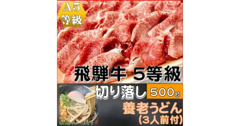 【ふるさと納税】飛騨牛 5等級　切り落し　500g　養老うどん付(3人前)【配送不可地域：離島】【1416455】