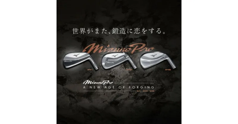 【ふるさと納税】Mizuno Pro 241 アイアン 6本組(No.5～9、PW)5KJSS33106S2【1469941】