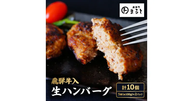 【ふるさと納税】飛騨牛入特製生ハンバーグ　100g×10個【配送不可地域：離島】【1491576】