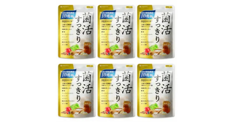 【ふるさと納税】乳酸菌サプリメント ナノ型乳酸菌10兆個&ビフィズス菌配合 菌活すっきり 6袋(6ヶ月分)【1495264】