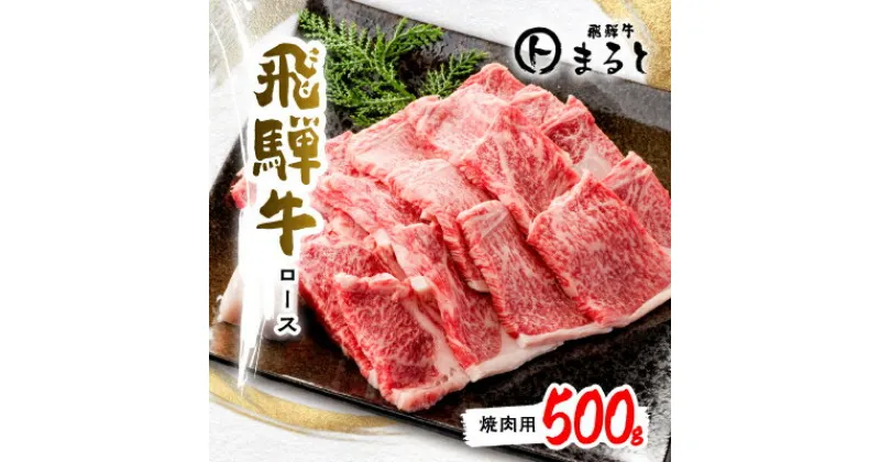 【ふるさと納税】【飛騨牛】ロース(焼肉用)500g【配送不可地域：離島】【1451224】