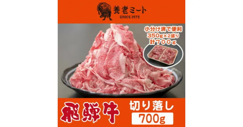 【ふるさと納税】飛騨牛　切り落し　700g(350g×2盛りで小分け済)【配送不可地域：離島】【1503571】