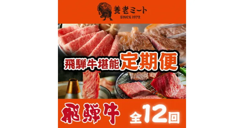 【ふるさと納税】【毎月定期便】月替わりで色々な飛騨牛を楽しめる全12回【配送不可地域：離島】【4051412】