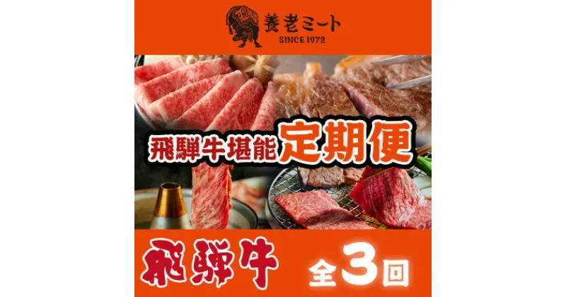 【ふるさと納税】【毎月定期便】月替わりで色々な飛騨牛を楽しめる全3回【配送不可地域：離島】【4051413】