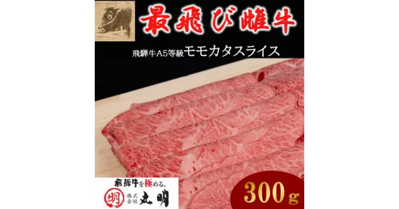 【ふるさと納税】【最飛び雌牛】飛騨牛A5等級モモカタスライス　300g【配送不可地域：離島】【1520139】