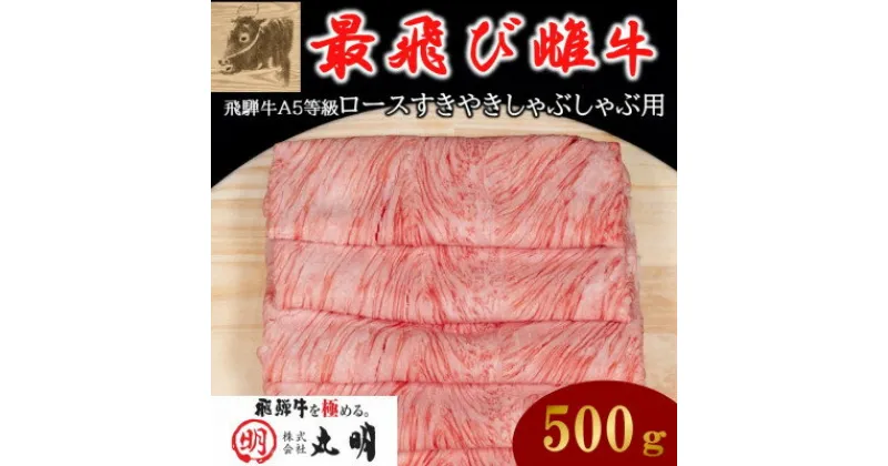 【ふるさと納税】【最飛び雌牛】飛騨牛A5等級ロースすきやきしゃぶしゃぶ用　500g【配送不可地域：離島】【1520142】