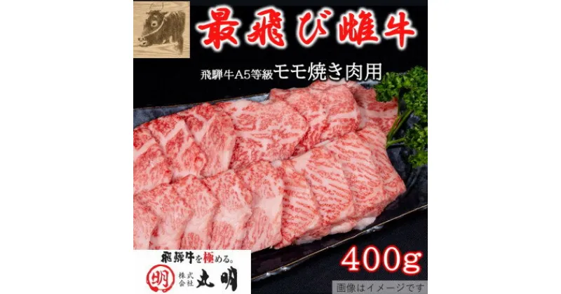 【ふるさと納税】【最飛び雌牛】飛騨牛A5等級モモ焼き肉用　400g【配送不可地域：離島】【1520144】