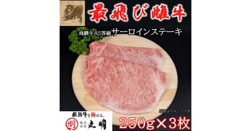 【ふるさと納税】【最飛び雌牛】飛騨牛A5等級サーロインステーキ　250g×3枚【配送不可地域：離島】【1520145】