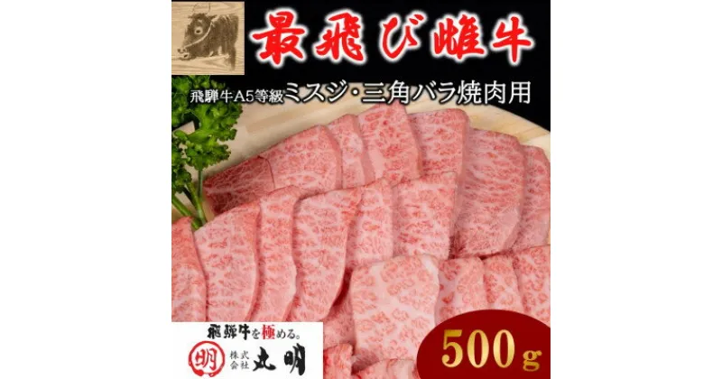 【ふるさと納税】【最飛び雌牛】飛騨牛A5等級ミスジ・三角バラ焼肉用　500g【配送不可地域：離島】【1520156】