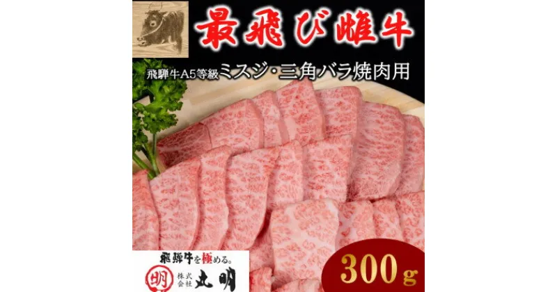 【ふるさと納税】【最飛び雌牛】飛騨牛A5等級ミスジ・三角バラ焼肉用　300g【配送不可地域：離島】【1520158】