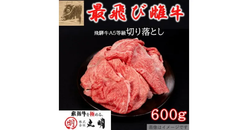 【ふるさと納税】【最飛び雌牛】飛騨牛A5等級切り落とし　600g【配送不可地域：離島】【1520140】