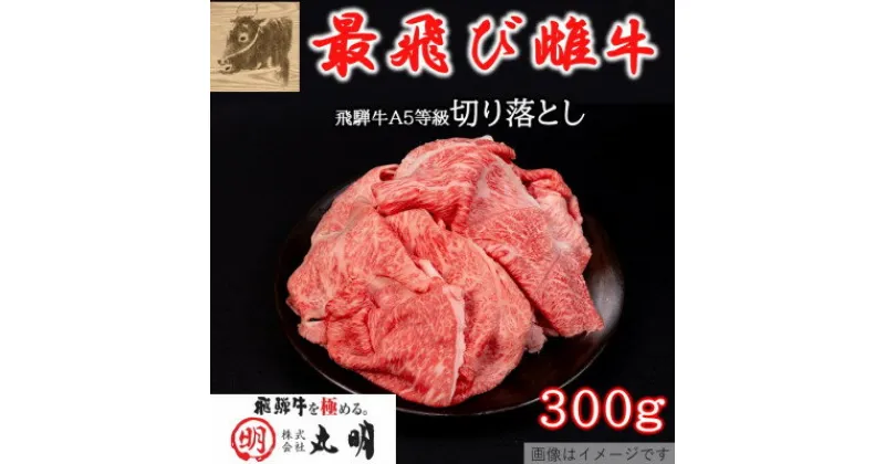 【ふるさと納税】【最飛び雌牛】飛騨牛A5等級切り落とし　300g【配送不可地域：離島】【1520141】