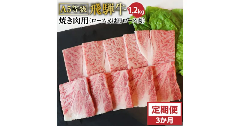 【ふるさと納税】F-20 【3ヶ月定期便】A5等級飛騨牛焼き肉用1.2kg　ロース又は肩ロース肉