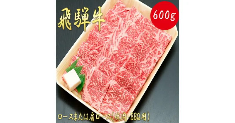 【ふるさと納税】AJ-3 【飛騨牛】ロースまたは肩ロース600g (焼肉・BBQ用)