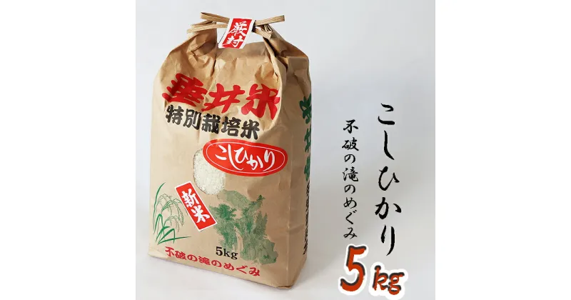 【ふるさと納税】≪令和6年産≫ 新米 不破の滝のめぐみ 垂井米コシヒカリ