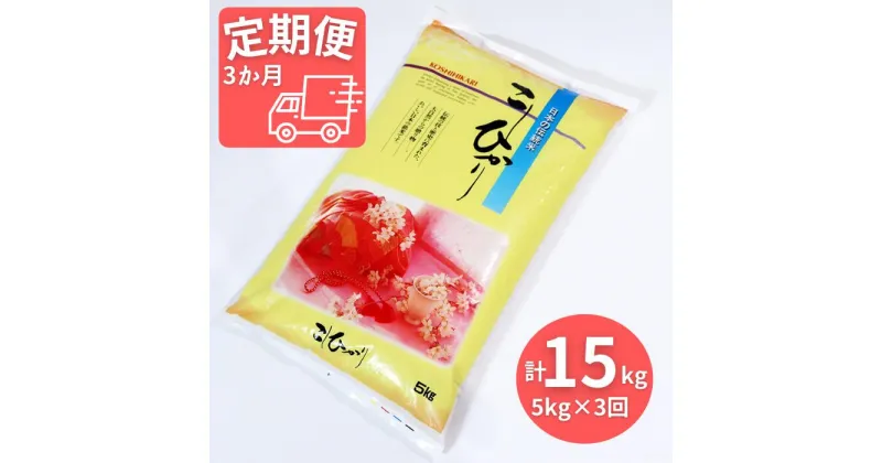 【ふるさと納税】≪令和6年産≫ 新米 【3か月定期便】 岐阜 コシヒカリ （約5kg×3回）