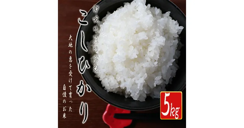 【ふるさと納税】≪令和6年産≫ 新米 ほたるの集う田んぼの米≪令和5年産≫ こしひかり 約5kg