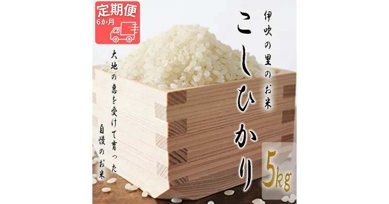 【ふるさと納税】≪令和6年産≫ 新米 ほたるの集う田んぼの米≪令和5年産≫ こしひかり 6ヵ月定期便