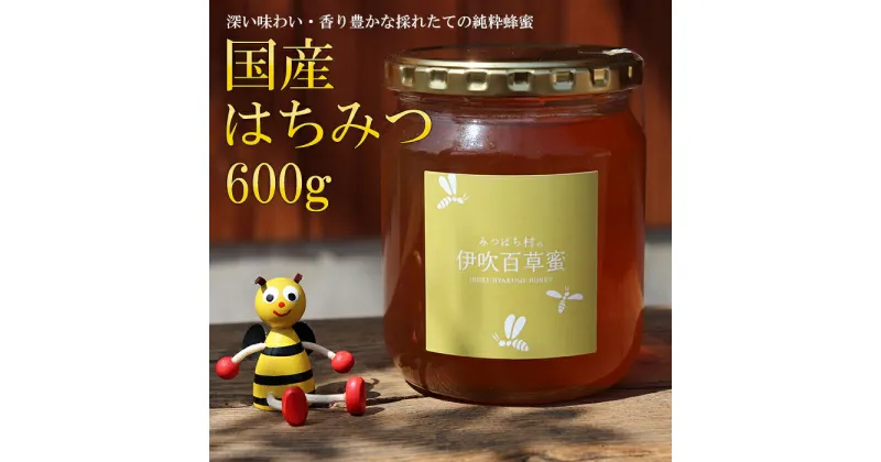 【ふるさと納税】E-26 国産はちみつ600g