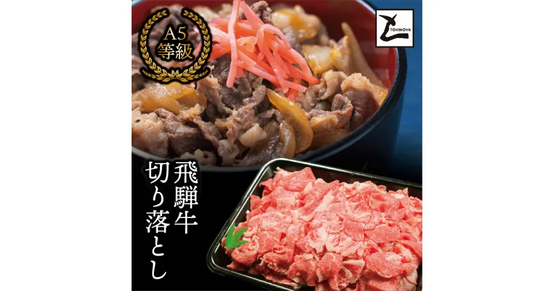 【ふるさと納税】AB-27 A5飛騨牛切り落とし1kg（500g×2）