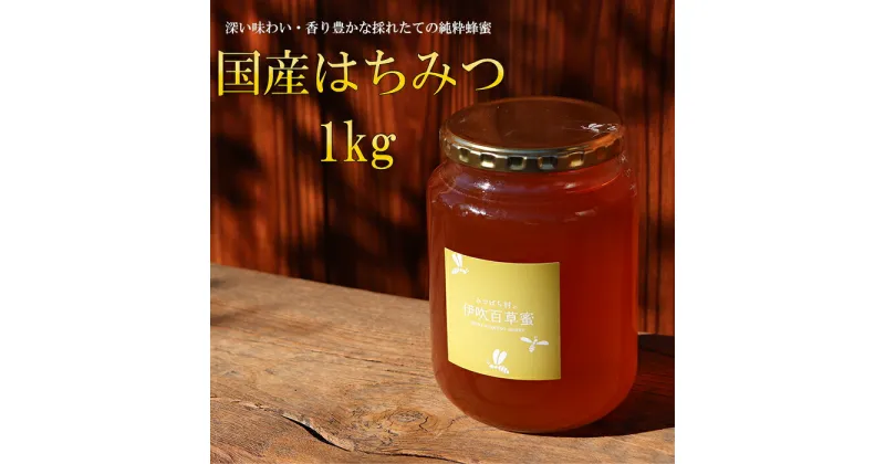 【ふるさと納税】E-28 国産はちみつ1000g