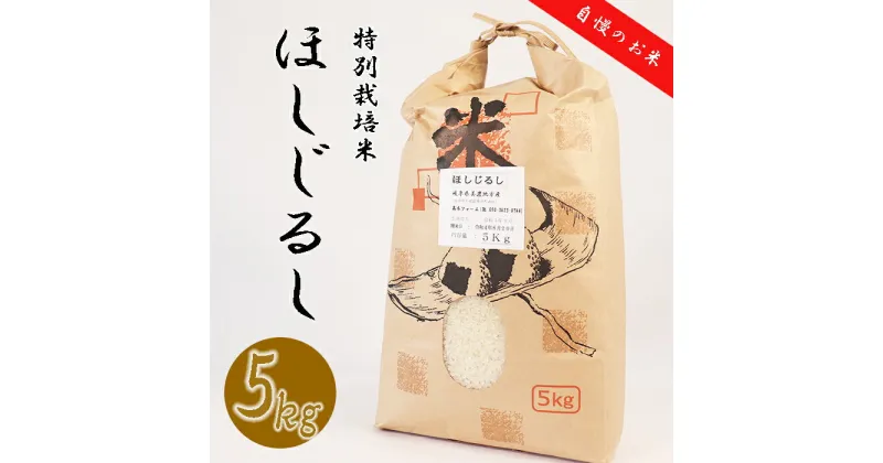 【ふるさと納税】≪令和6年産≫ 新米 垂井町産 ほしじるし 5kg