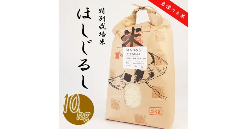 【ふるさと納税】≪令和6年産≫ 新米 垂井町産 ほしじるし 10kg