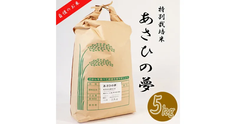 【ふるさと納税】≪令和6年産≫ 新米 垂井町産 あさひの夢 5kg