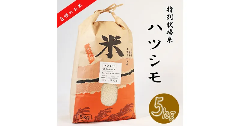 【ふるさと納税】 ≪令和6年産≫ 新米 【特別栽培米】垂井町産 ハツシモ 5kg