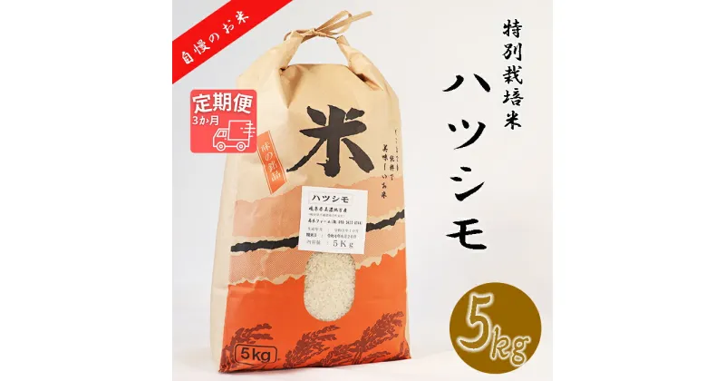 【ふるさと納税】≪令和6年産≫ 新米 【3か月定期便】 【特別栽培米】 垂井町産 ハツシモ (5kg×3回）