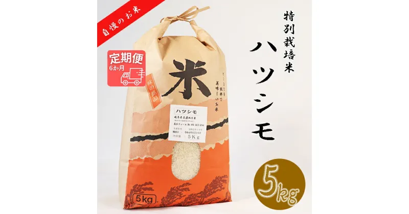 【ふるさと納税】≪令和6年産≫ 新米 【6か月定期便】 【特別栽培米】 垂井町産 ハツシモ (5kg×6回）