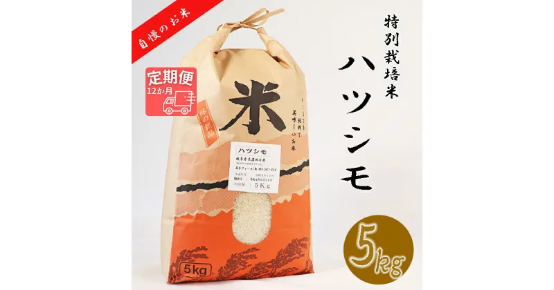 【ふるさと納税】≪令和6年産≫ 新米 【12か月定期便】 【特別栽培米】 垂井町産 ハツシモ (5kg×12回）