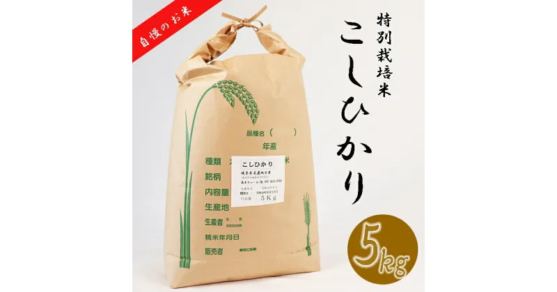 【ふるさと納税】≪令和6年産≫ 新米 【特別栽培米】 垂井町産 コシヒカリ 5kg