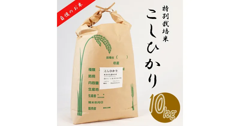 【ふるさと納税】≪令和6年産≫ 新米 【特別栽培米】 垂井町産 コシヒカリ 10kg