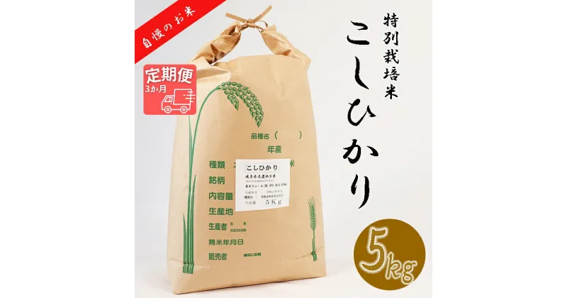 【ふるさと納税】≪令和6年産≫ 新米 【3か月定期便】 【特別栽培米】 垂井町産 コシヒカリ (5kg×3回）