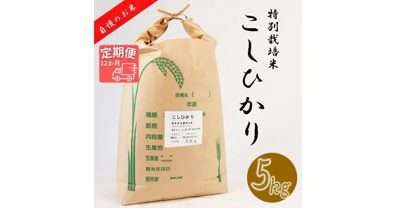 【ふるさと納税】 ≪令和6年産≫ 新米 【12か月定期便】 【特別栽培米】 垂井町産 コシヒカリ (5kg×12回）