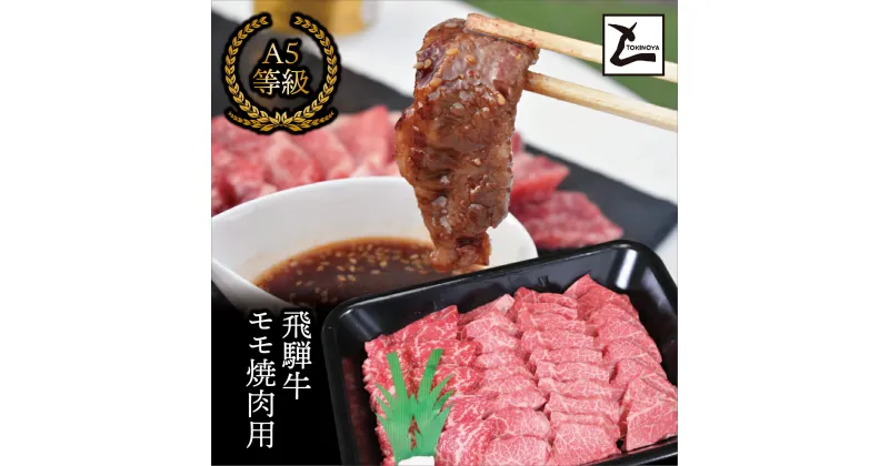 【ふるさと納税】AB-37 A5飛騨牛モモ焼き肉用600g