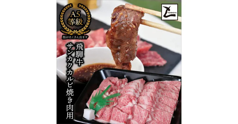 【ふるさと納税】AB-40 A5飛騨牛サンカクバラカルビ焼き肉用400g