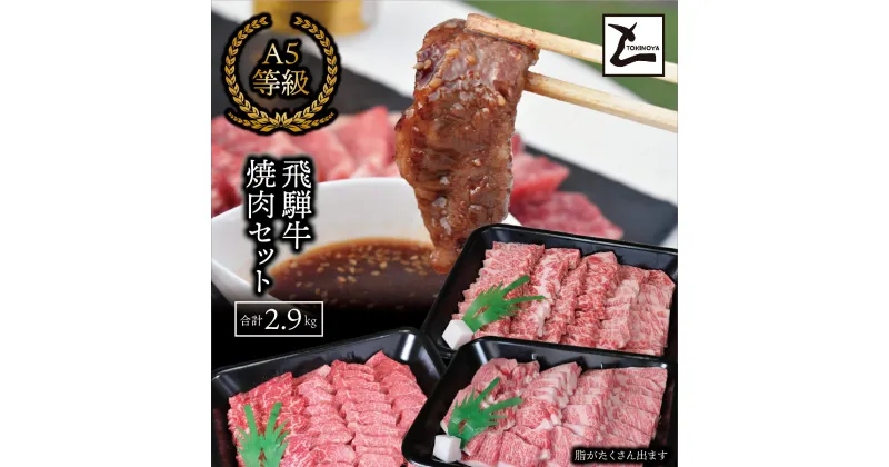 【ふるさと納税】AB-46 A5飛騨牛焼き肉セット（合計2.9kg）