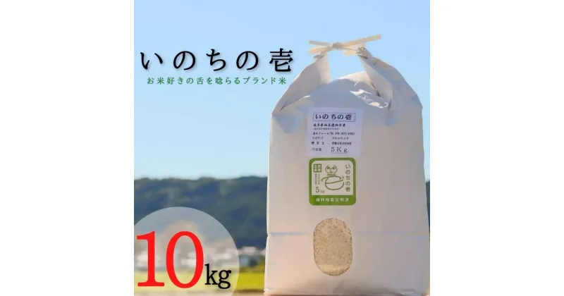 【ふるさと納税】≪令和6年産≫ 新米 【特別栽培米】 垂井町産 いのちの壱 10kg