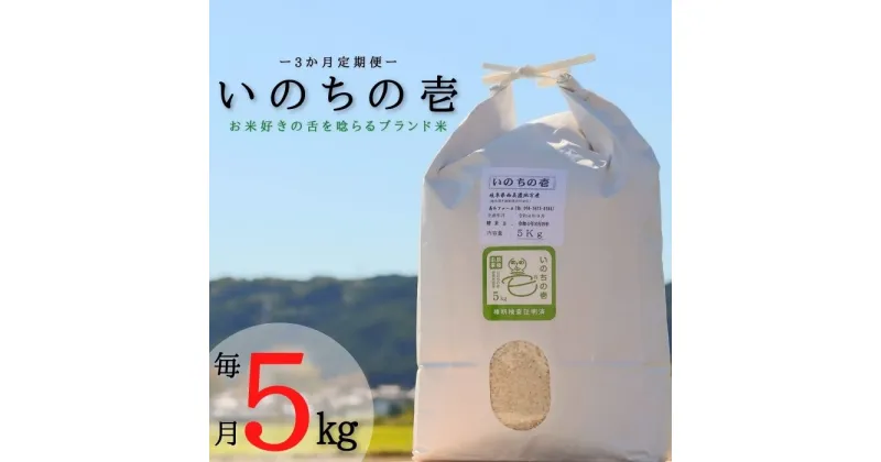 【ふるさと納税】 ≪令和6年産≫ 新米 【3か月定期便】 【特別栽培米】 垂井町産 いのちの壱 (5kg×3回）