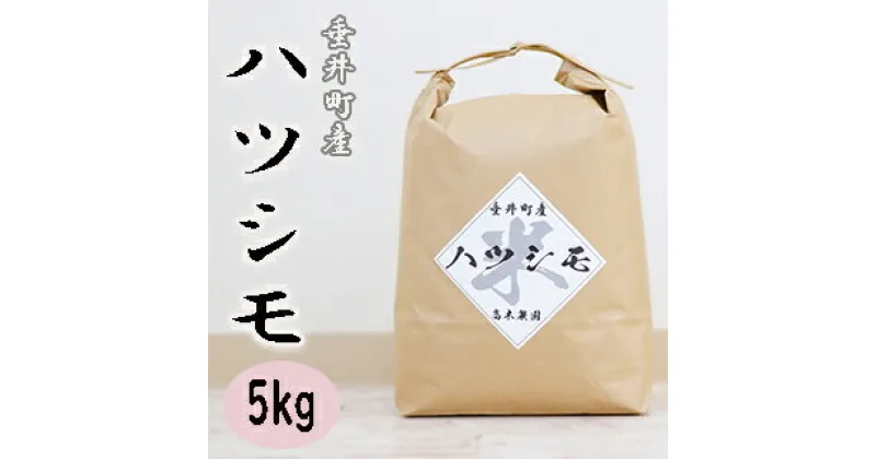 【ふるさと納税】≪令和6年産≫ 新米 岐阜県産ハツシモ5kg