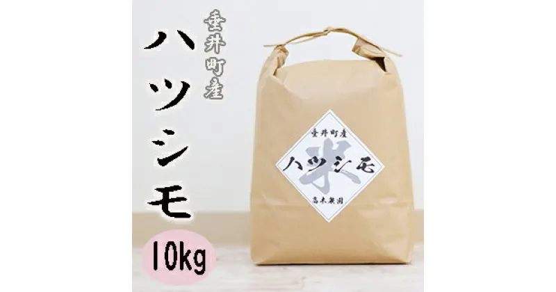 【ふるさと納税】≪令和6年産≫ 新米 岐阜県産ハツシモ10kg（5kg×2）