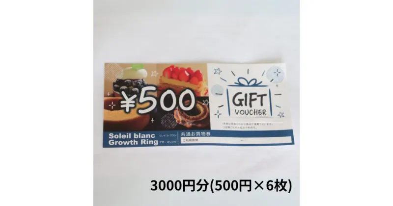 【ふるさと納税】店舗利用券3000円分