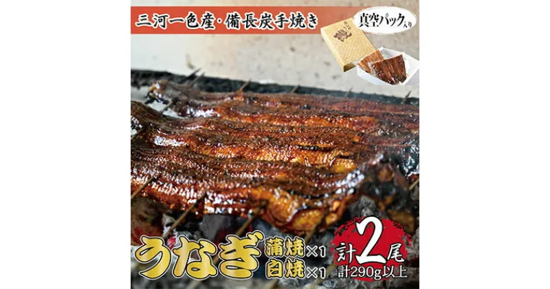 【ふるさと納税】【三河一色産・備長炭手焼き】うなぎ蒲焼・白焼食べ比べセット【配送不可地域：離島】【1136590】