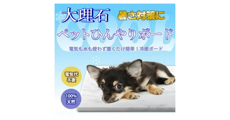 【ふるさと納税】大理石ペットひんやりボード 40×40センチ ビアンコカラーラ イタリア産 2枚セット【1287888】