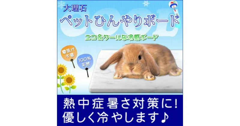 【ふるさと納税】うさぎひんやり大理石マット 30×20センチ イタリア産 ビアンコカラーラ【1287890】